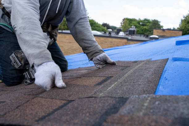 Best Flat Roof Repair Services  in Ferndale, WA
