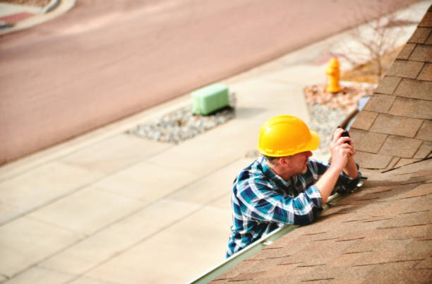 Best Roof Gutter Cleaning  in Ferndale, WA