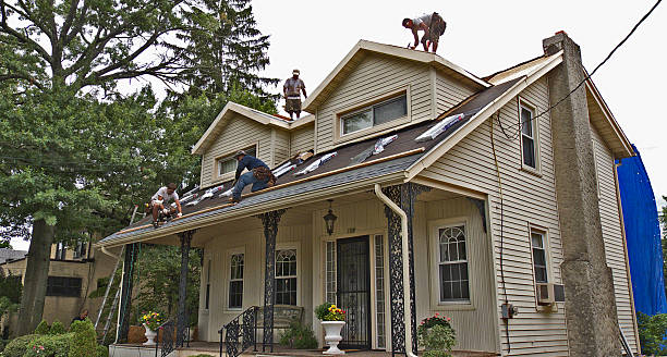 Quick and Trustworthy Emergency Roof Repair Services in Ferndale, WA