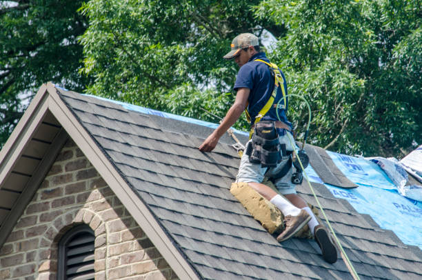 Quick and Trustworthy Emergency Roof Repair Services in Ferndale, WA